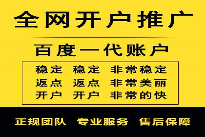百度推广运营案例精选：揭秘成功之道
